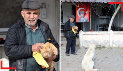 Pandemide kapanan kahvehanesini sokak hayvanlarına açtı