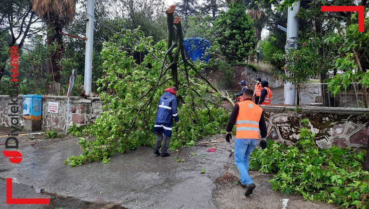 Balıkesir Büyükşehir, Ayvalık’a Koştu