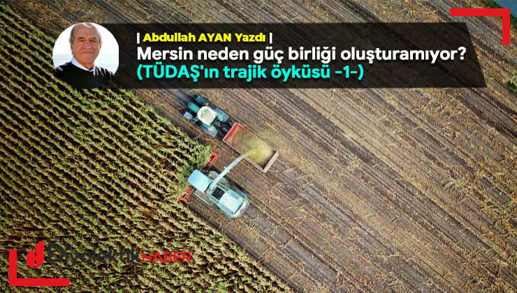 Mersin neden güç birliği oluşturamıyor? (TÜDAŞ’ın trajik öyküsü -1-)