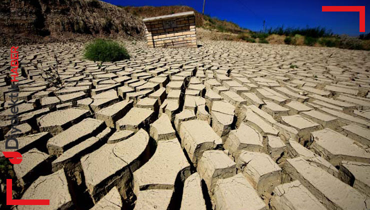 WWF yetkilisi: Türkiye’de doğal alan ve biyoçeşitlilik kaybındaki hız alarm verici