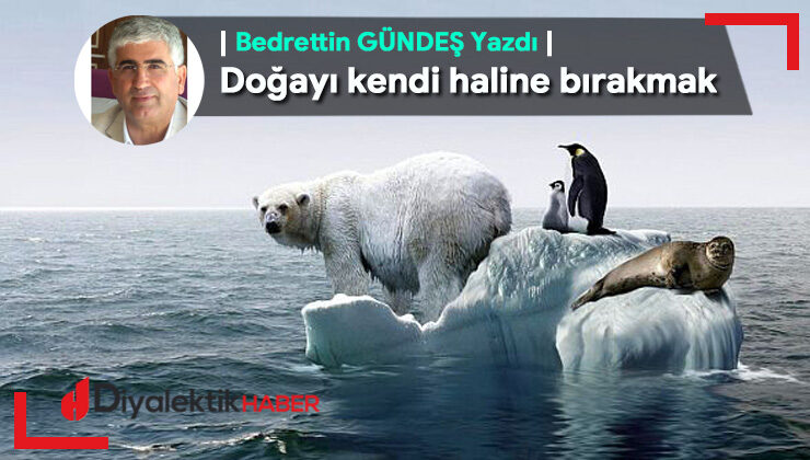 Doğayı kendi haline bırakmak