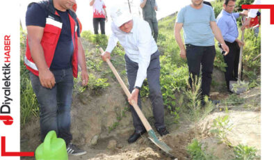 HBB fidan dikimi etkinliği gerçekleştirdi