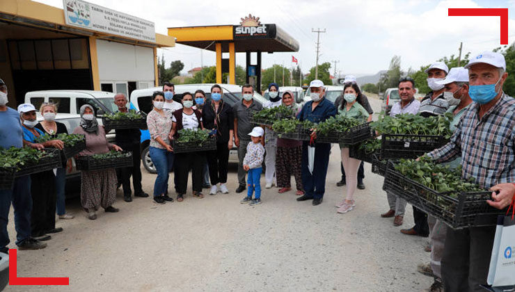 Antalya Büyükşehir çiftçilerin hizmetinde