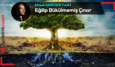 Eğilip Bükülmemiş Çınar