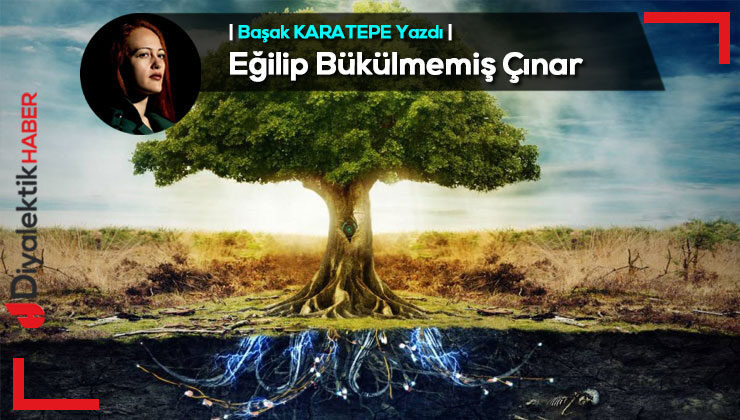 Eğilip Bükülmemiş Çınar