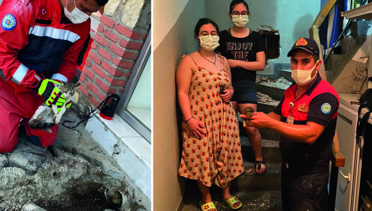 İtfaiye Teşkilatı’ndan 3 Bin 220 Hayvan Kurtarma Operasyonu