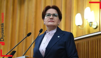 İYİ Parti lideri Akşener yangın bölgesine gidecek