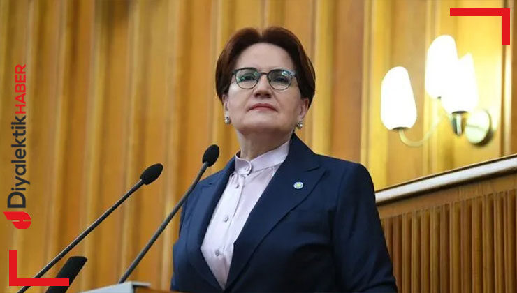 İYİ Parti lideri Akşener yangın bölgesine gidecek