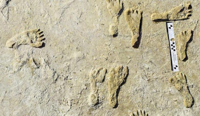 ABD’nin New Mexico eyaletinde 23 bin yıllık insan ayak izlerine rastlandı