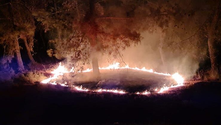 Antalya’da üç yerde birden yangın: ‘Sabotaj olabilir’ şüphesi