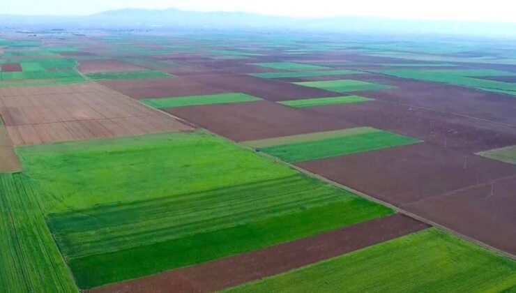 Üç İlçede De Kazanan Doğa Oldu