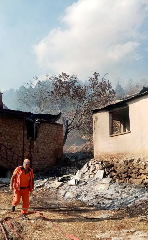 Mersin'de evden ağaçlık alana sıçrayan yangın söndürüldü
