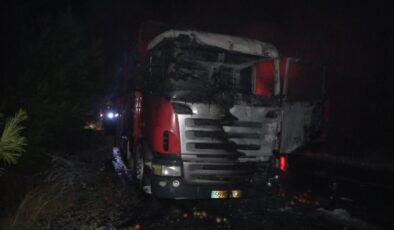 Mersin’de domates yüklü kamyonda çıkan yangın söndürüldü