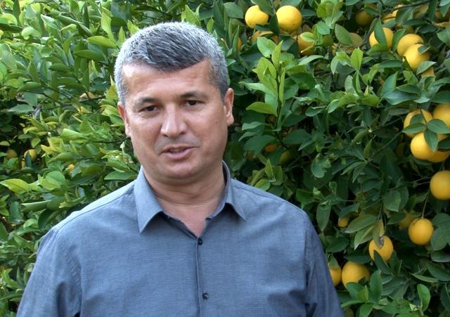 Mersin'den 60 ülkeye limon ihracatı