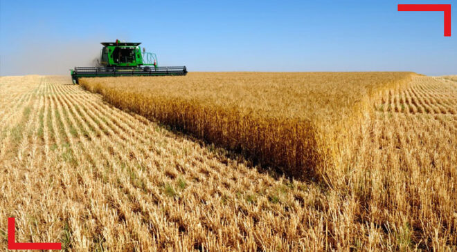 Türkiye, 1,4 milyar nüfusa sahip Çin’den daha fazla buğday ithal eder hale geldi