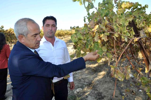 Tarsus Uluslararası Tarım Çalıştayının sonuç bildirgesi yayınlandı