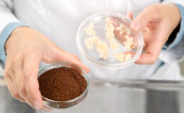 Böcek burgerden, laboratuvarda üretilen kahveye: 2030 yılına kadar menülerde yerini alacak lezzetler