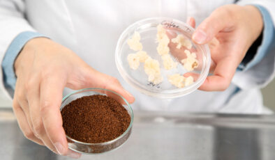 Böcek burgerden, laboratuvarda üretilen kahveye: 2030 yılına kadar menülerde yerini alacak lezzetler
