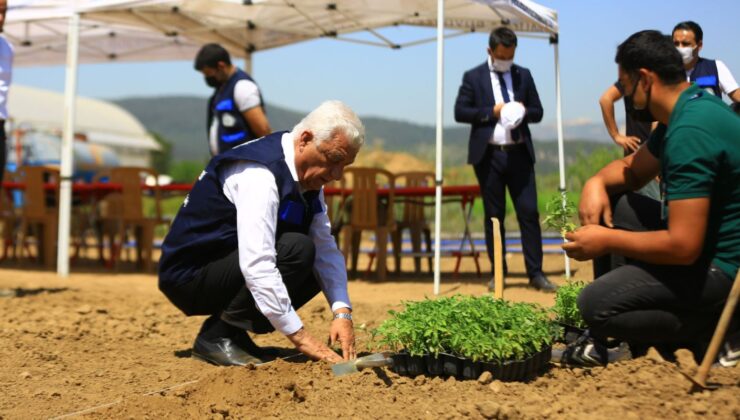 Muğla’da üreticiler bilinçli üretim yapıyor