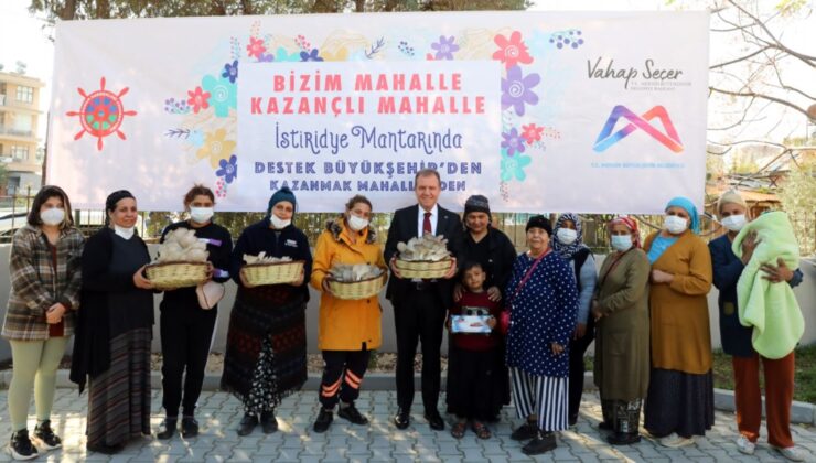 MBB Başkanı Vahap Seçer, İstiridye Mantar Üretim Tesisi’nde, Roman kadınlar ile mantar hasadı yaptı