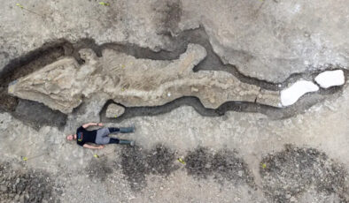 İngiltere’de bulundu: İşte paleontoloji tarihine geçen keşif
