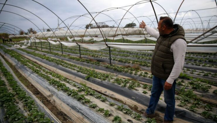 Antalya Büyükşehir’den üreticiye destek