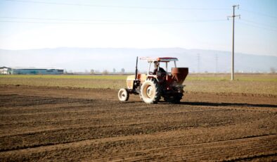 Aydın’da ‘Topuklu Efe’ Arpa Üretimini De Başlattı