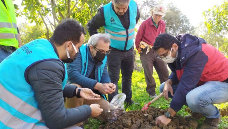 Germencik’teki Çatlakların Kuraklık Kaynaklı Olduğu Değerlendirildi