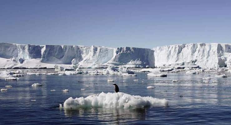 Antarktika’ya gemilerle ulaşan işgalci türler deniz ekosistemini tehdit ediyor