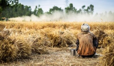 Birleşmiş Milletler Raporu: Küresel gıda fiyatları şubatta tüm zamanların en yüksek seviyesine ulaştı￼