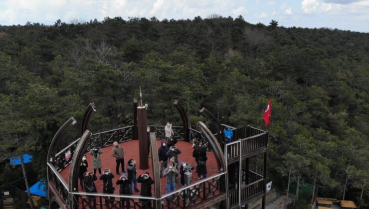 GÖÇMEN KUŞLAR AY BOYU İSTANBUL’DAN İZLENECEK