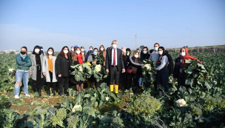 Adana Kadın Dayanışma Merkezi ve Meryem Kadın Kooperatifi uygulamaları dünya genelinde iyi örnekler olarak değer buldu