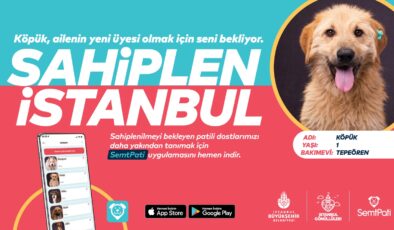 CAN DOSTLARIMIZI “SAHİPLEN İSTANBUL”