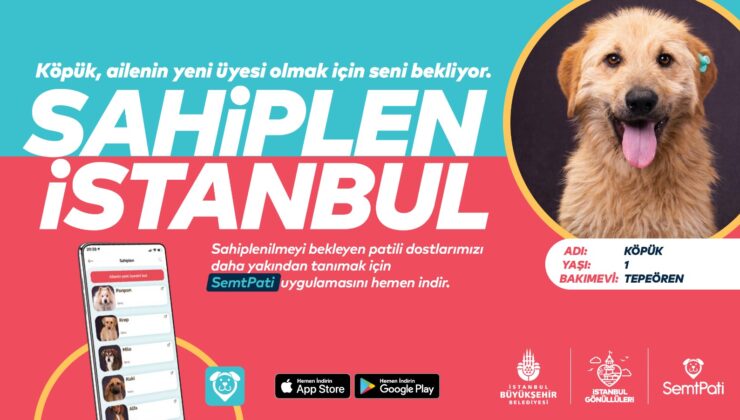 CAN DOSTLARIMIZI “SAHİPLEN İSTANBUL”