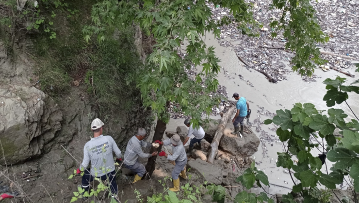 Adana Büyükşehir ekipleri Karaisalı’da Yerköprü Piknik alanı ve Çakıt suyunda temizlik yaptı￼