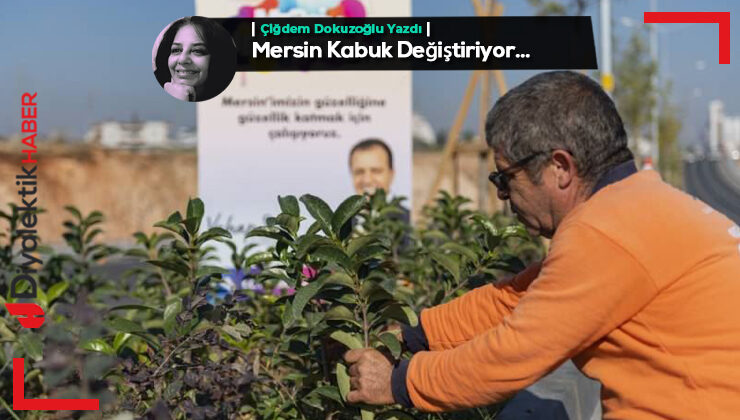 Mersin Kabuk Değiştiriyor…