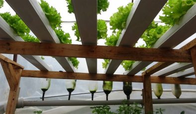 Memurluğu bırakıp başladı: Her biri 28 bin TL kazandırıyor