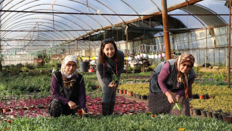 2022 Yılında 1 Milyon 250 Bin Çiçek Üretildi