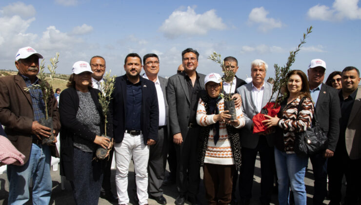MERSİN BÜYÜKŞEHİR’DEN TOPLAM 42 BİN 660 ADET ZEYTİN FİDANI