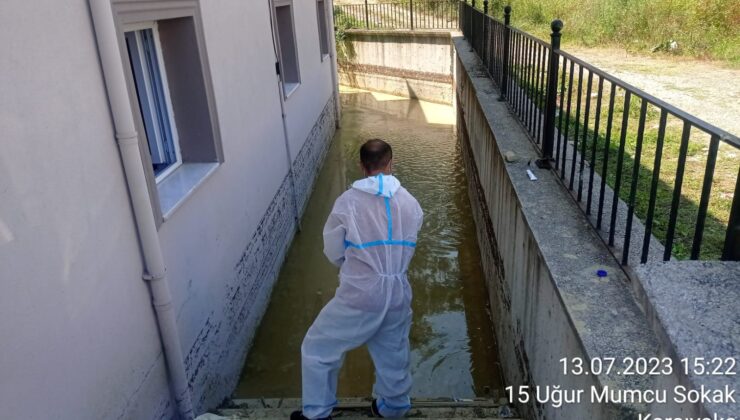 ANKARA BÜYÜKŞEHİR SEL BÖLGESİNDE İLAÇLAMA ÇALIŞMASI BAŞLATTI