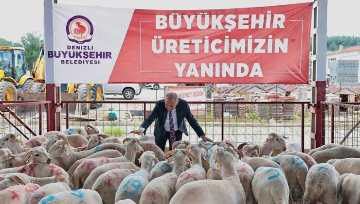 Büyükşehir’in hayvancılık destekleri çığ gibi büyüyor