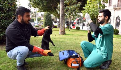 Mersin Belediyesi Kaşlı Geçici Hayvan Bakımevi, 3 Yılda 126 Bin 728 Talebe Yanıt Verdi