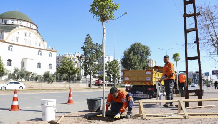 Mersin Büyükşehir’den ‘Ağaçlandırma Kampanyası’
