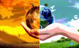 TARIMDA YETERLİLİK: GERÇEK Mİ, YANILSAMA MI?