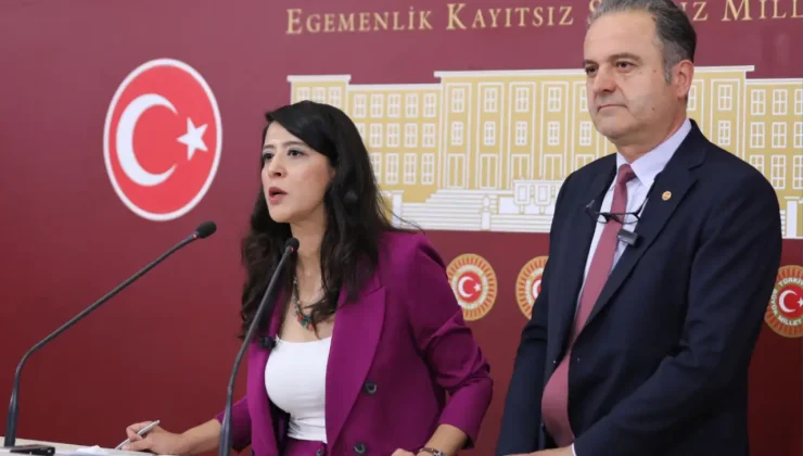 EMEP’ten maden ihaleleri ve ‘Esra Işık’ tepkisi: Peşkeş çekilen topraklara sahip çıkanlar tutuklanıyor