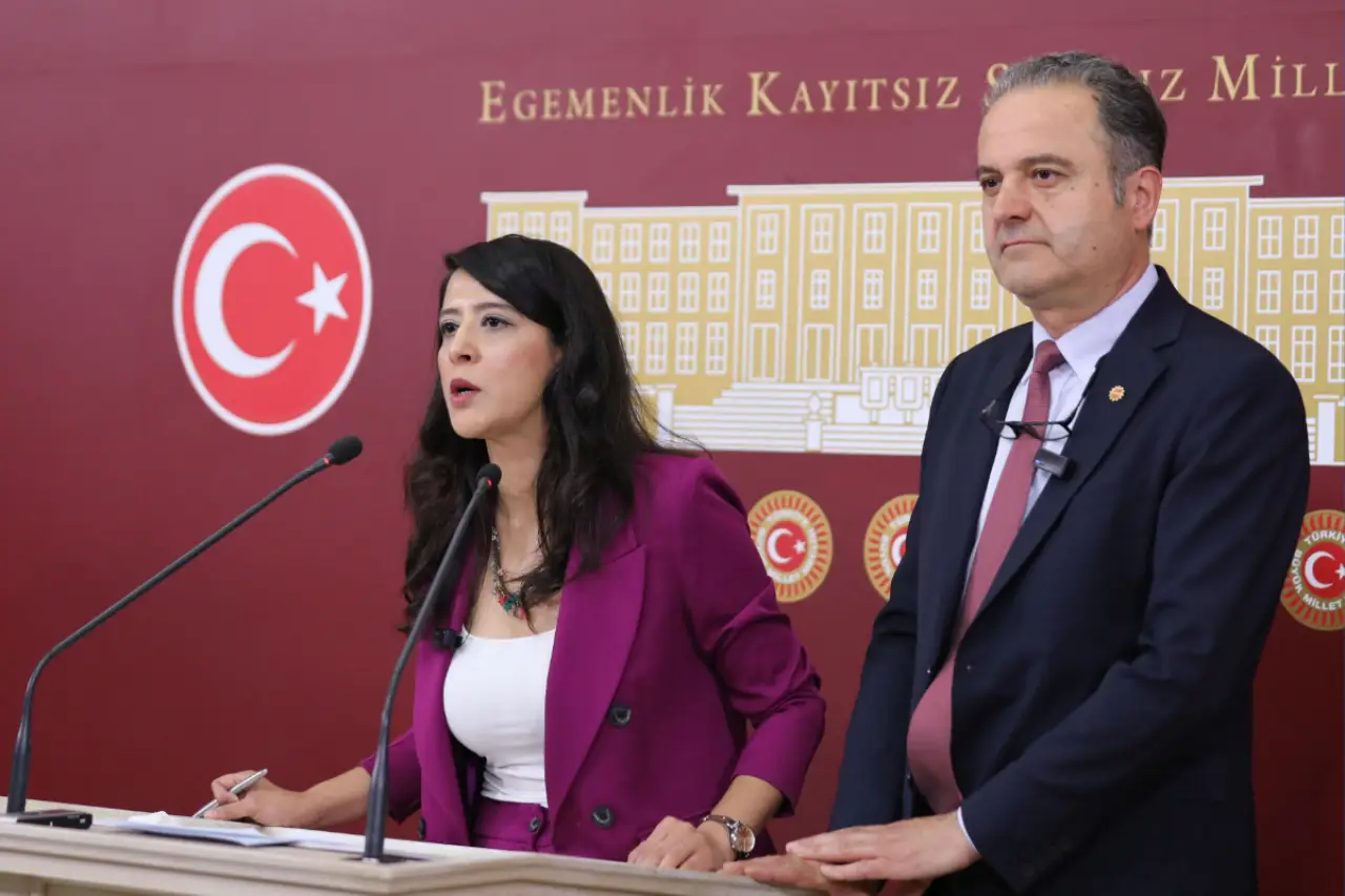 EMEP’ten maden ihaleleri ve ‘Esra Işık’ tepkisi: Peşkeş çekilen topraklara sahip çıkanlar tutuklanıyor