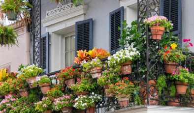 Nisan ayı bitmeden hemen dikin! Balkonunuzu tüm yaz çiçek bahçesine çevirecek 5 dayanıklı bitki türü…