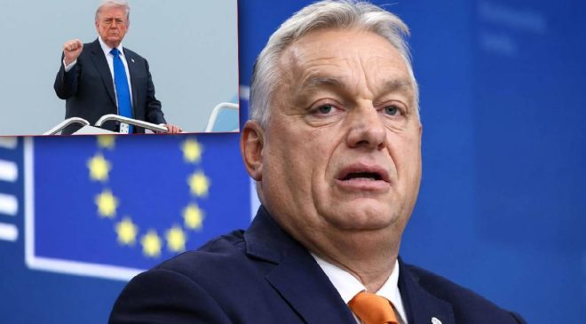 16 yıllık otoriter rejim sandığa gömüldü: Viktor Orban ABD’ye sığınıyor