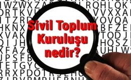 BASININ ve STK’LARIN GÖREVİ