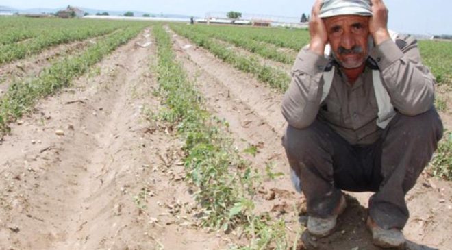 TARIM NEDEN YERİNDE SAYIYOR?